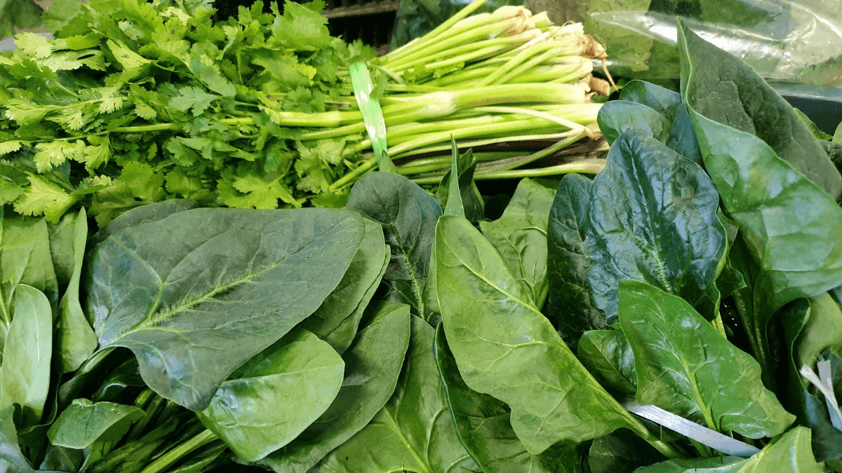 Clima irregular prejudica a produção de legumes; carne também está mais cara