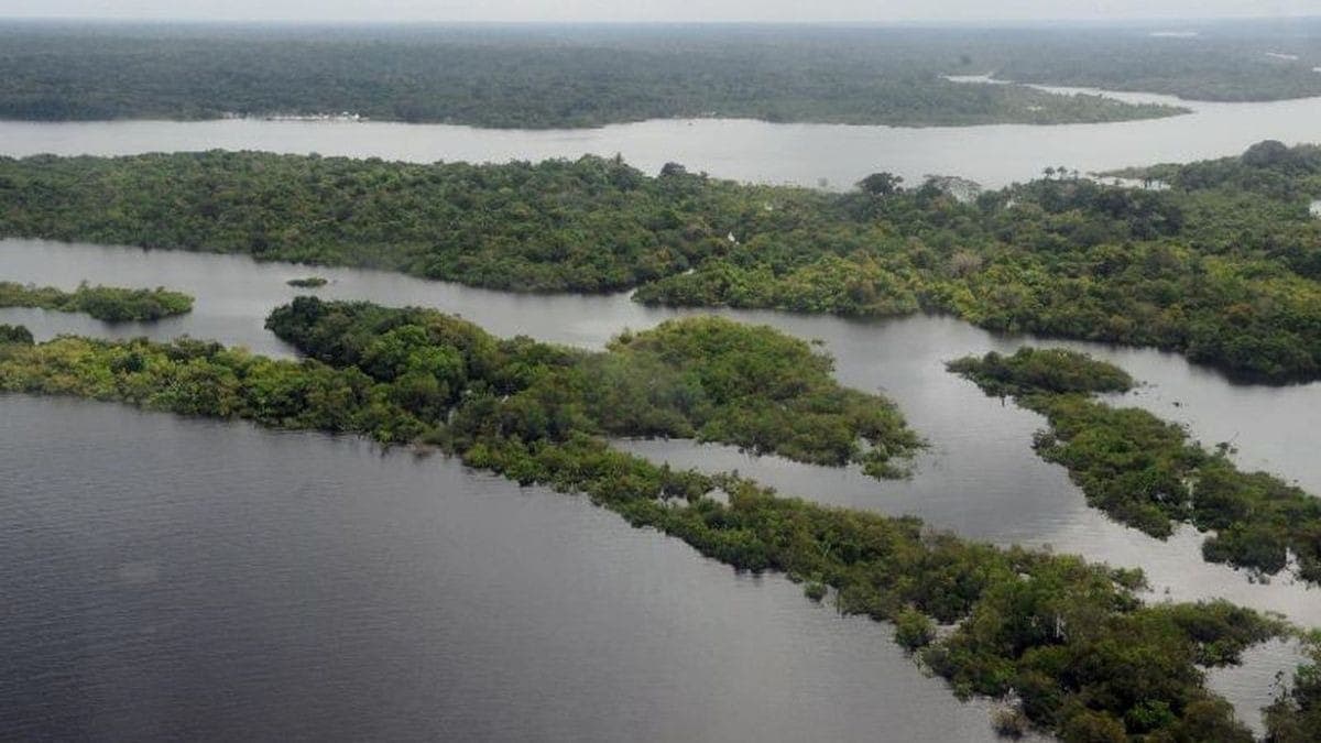 Amazônia 