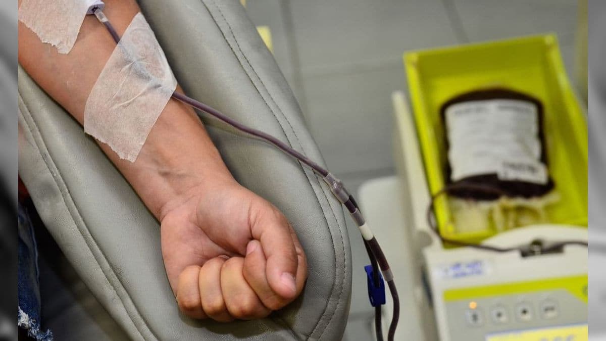 Importância da doação de sangue 