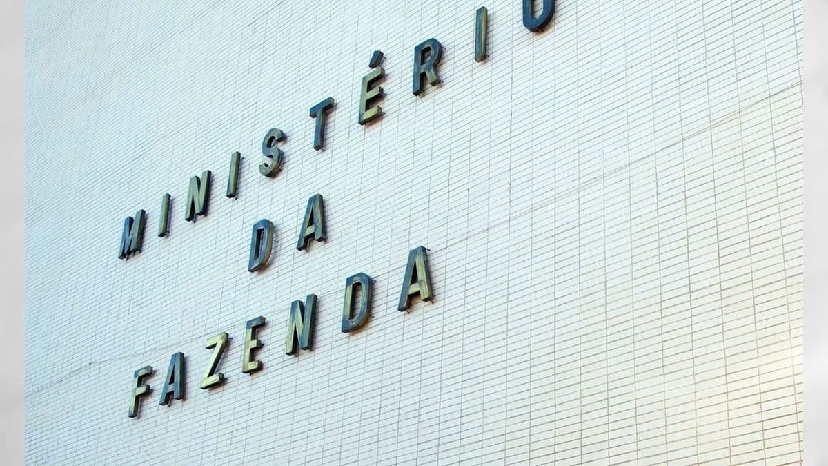 Onça-parda morre atropelada por carro do Ministério da Fazenda em Brasília