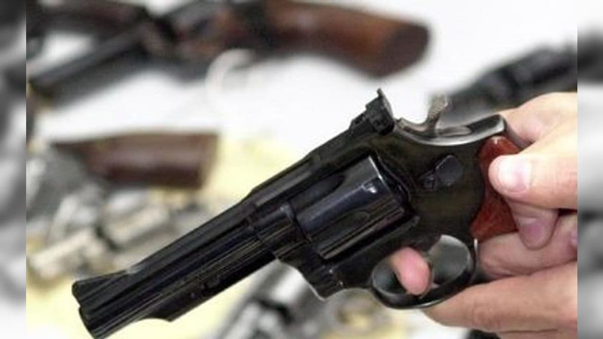 Proposta pode facilitar compra de armas de fogo