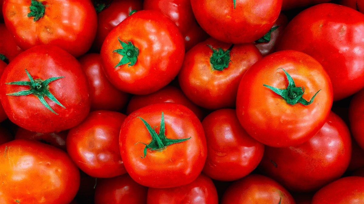 Tomate aumentou o preço, mas é possível substituir fruto
