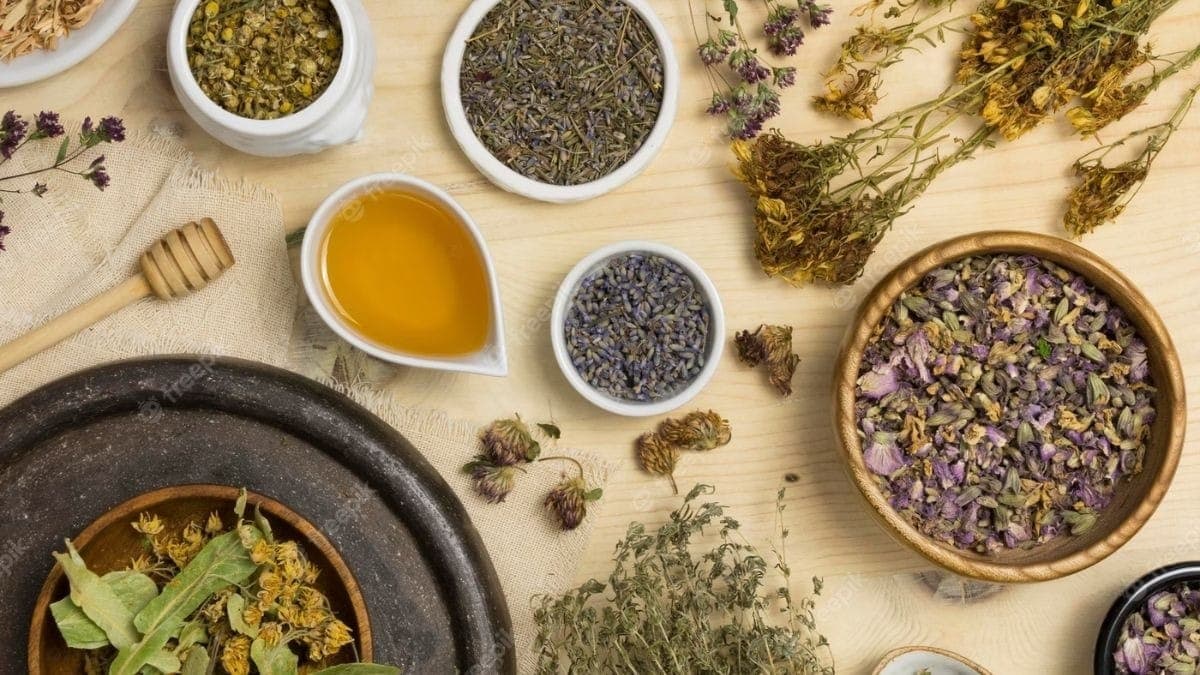 Plantas medicinais
