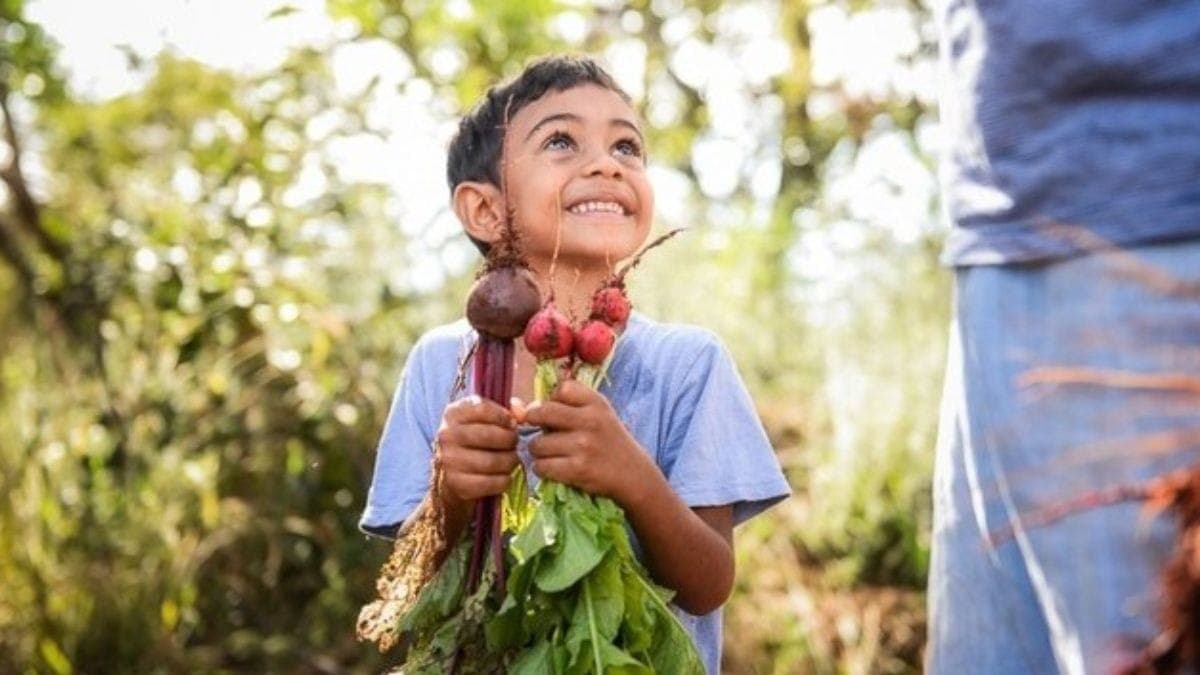 Plano Safra da Agricultura Familiar foi lançado nesta segunda-feira (30)