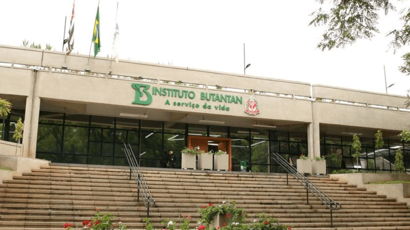 Instituto Butantan