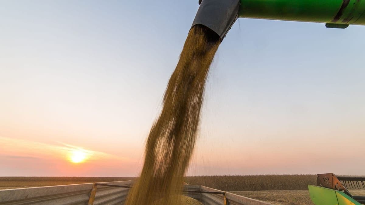 Safra de soja na Argentina deve aumentar