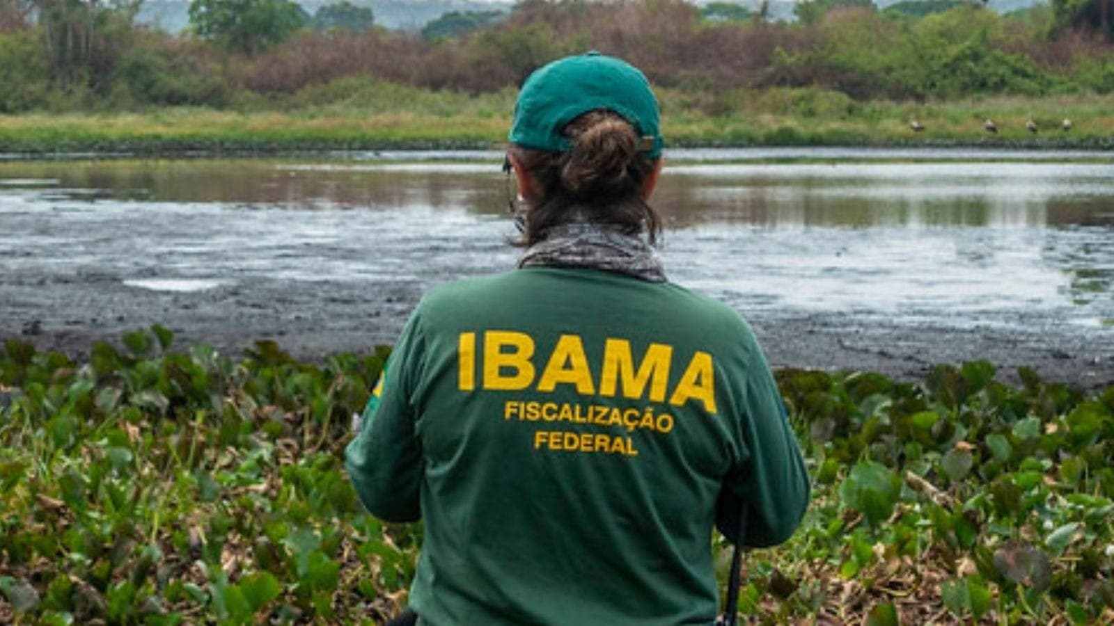 Ibama