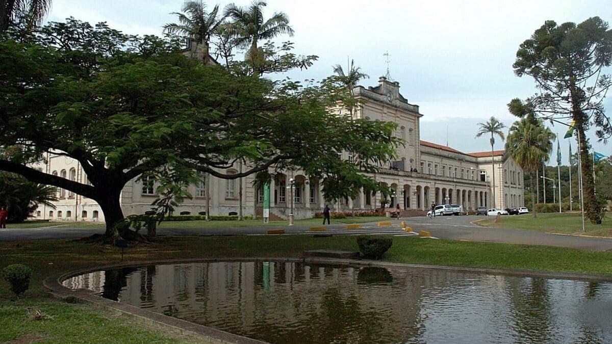 USP