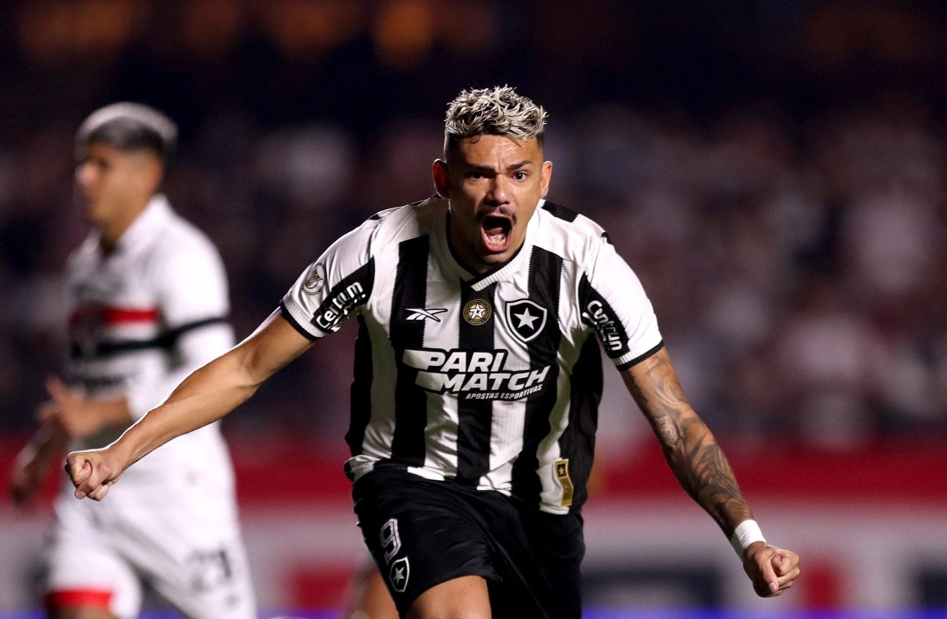 Tiquinho comemora gol do Botafogo