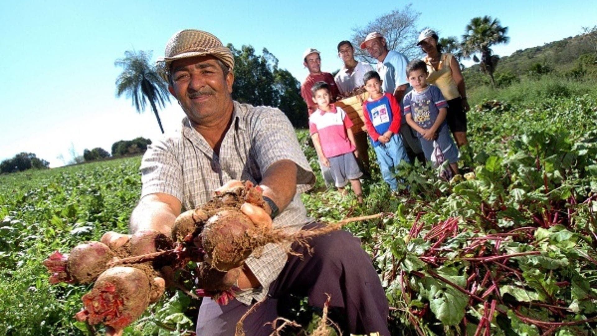 Agricultura familiar