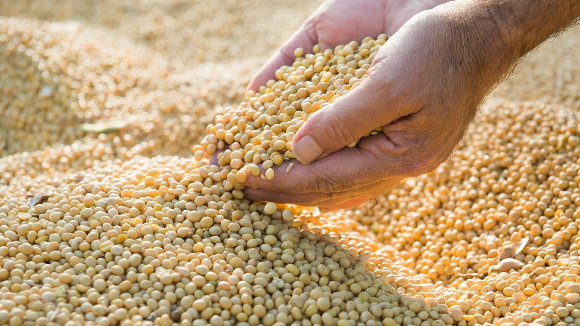 China anuncia taxação aos produtos agrícolas americanos