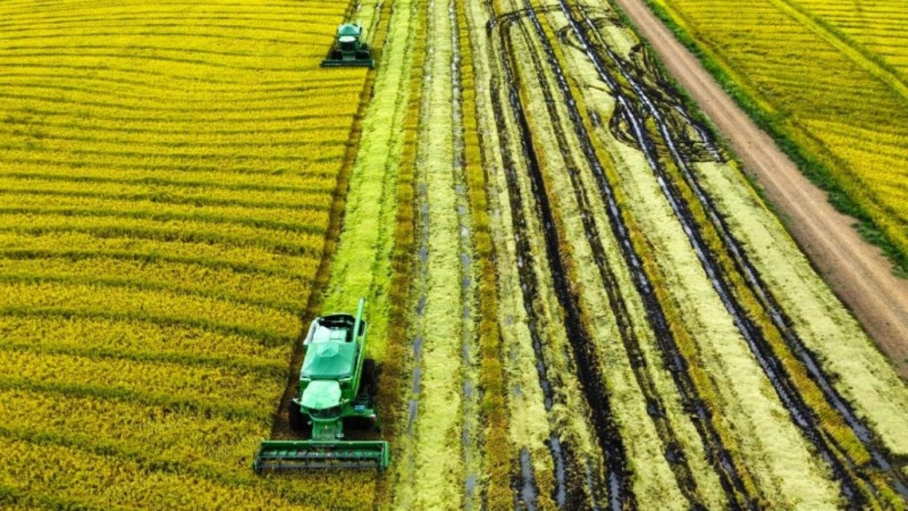 Solos no Rio Grande do Sul ficaram prejudicados pelas enchentes em 2024