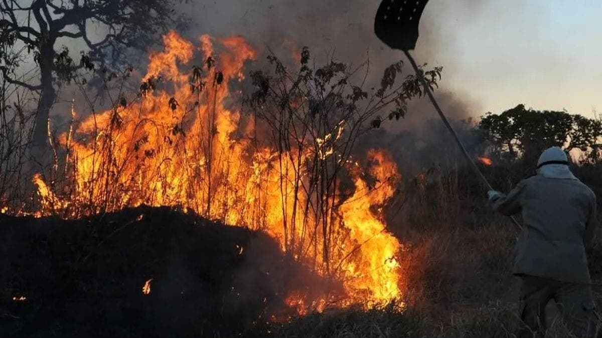 Temporada de clima seco favorece incidência de incêndios, mas governo investirá em prevenção