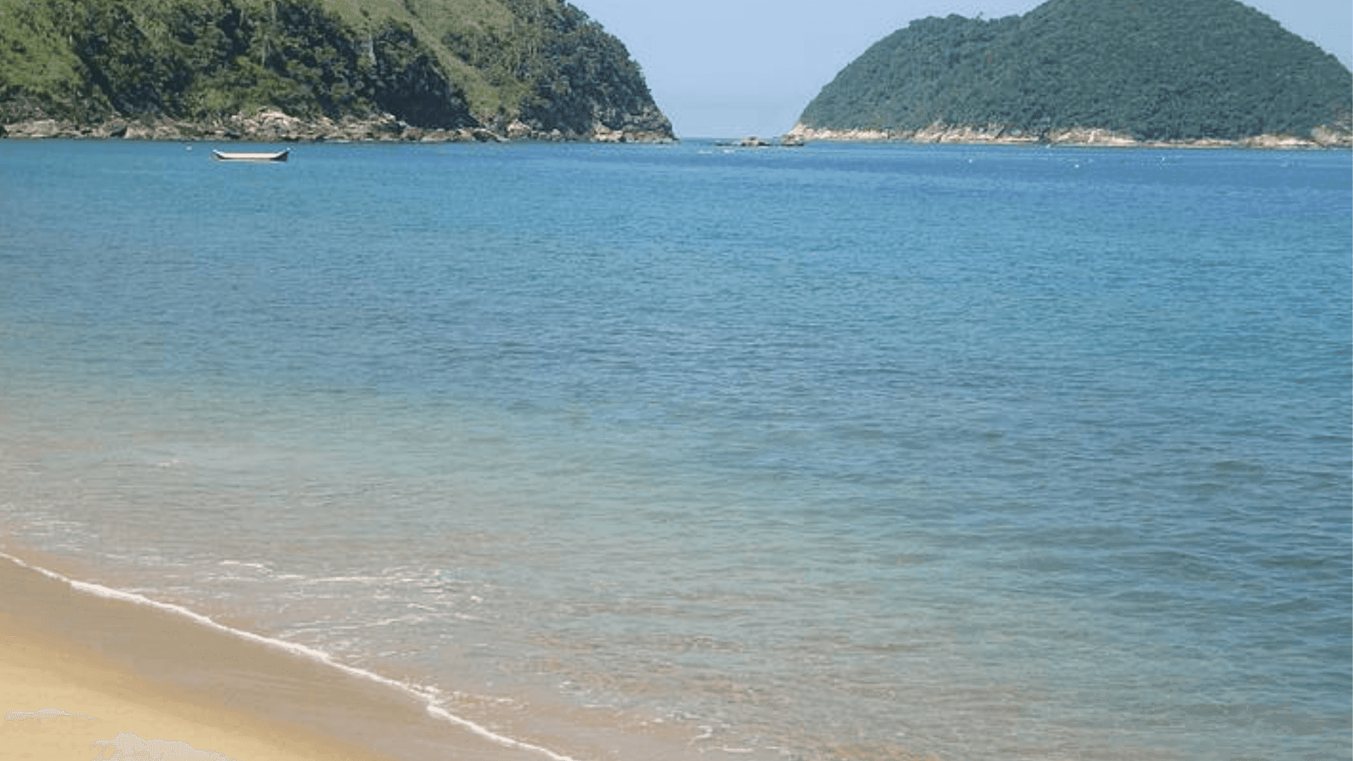 Litoral Norte de SP tem 11 praias impróprias para banho