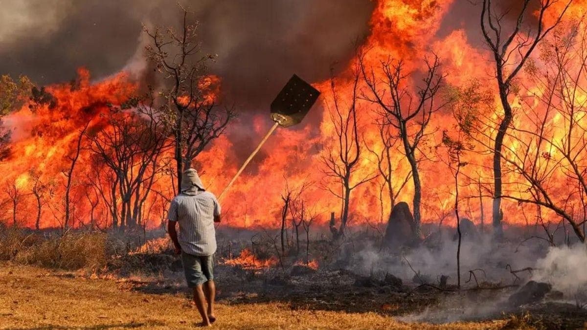 Imagem de arquivo de incêndio no Parque Nacional de Brasília