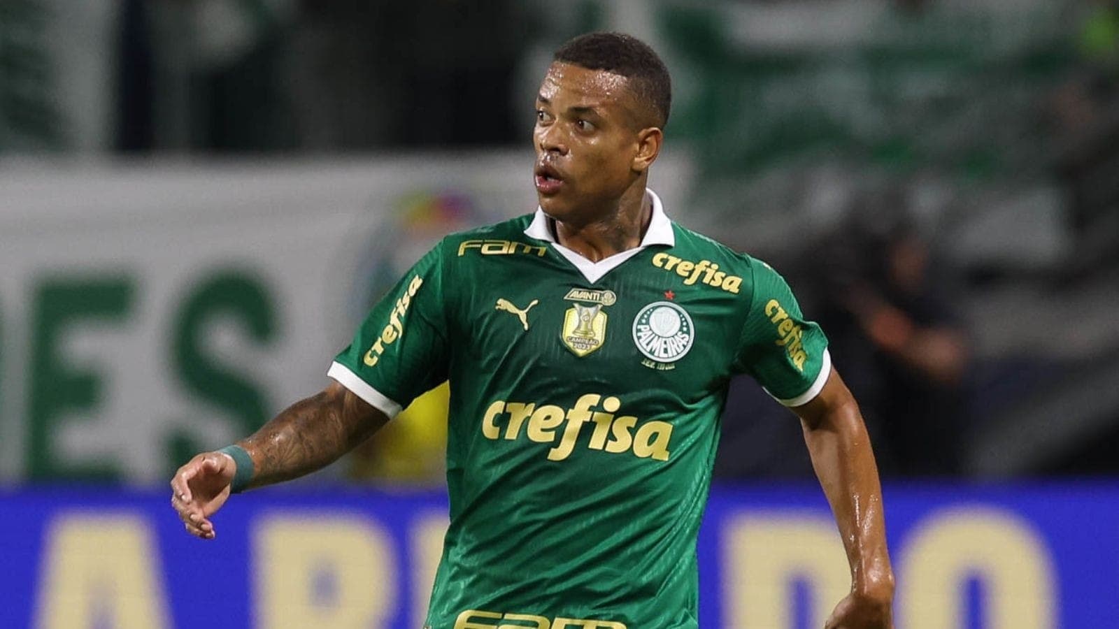 Caio Paulista
