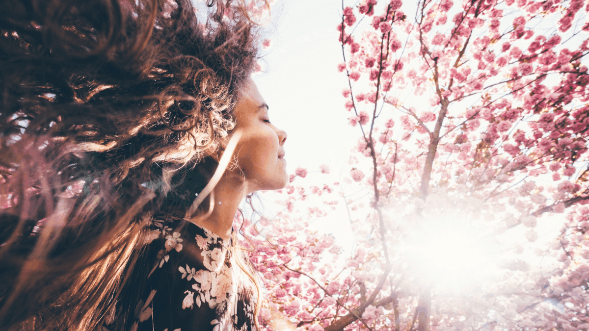 Primavera