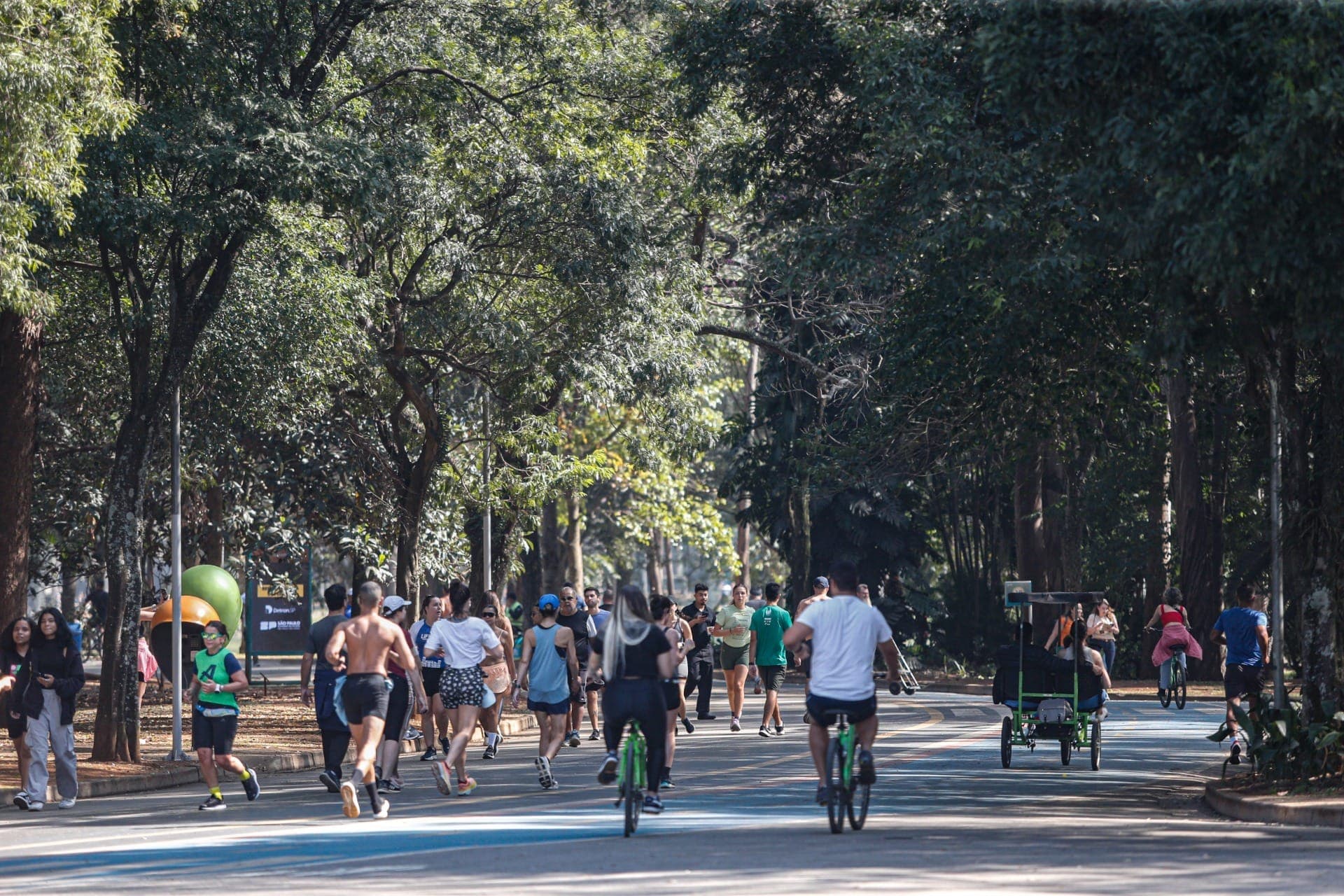 Parque Ibirapuera, em São Paulo