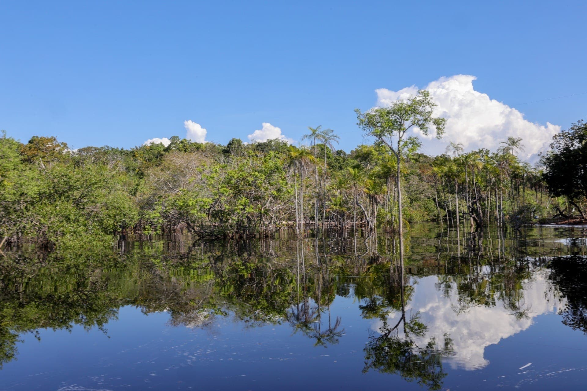 Reserva Legal é área obrigatória em propriedades rurais