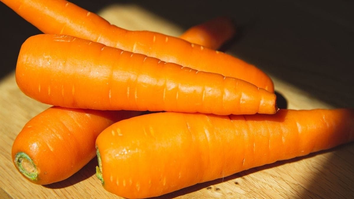Alta produtividade "encheu" o mercado de cenoura e fez preços despencarem