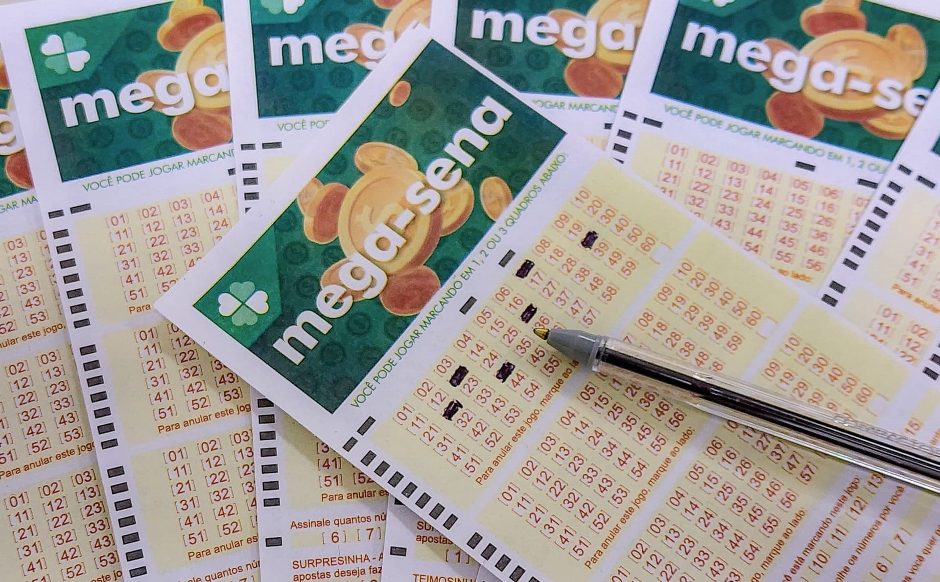 Mega-Sena acumula e vai sortear prêmio de R$ 31 milhões