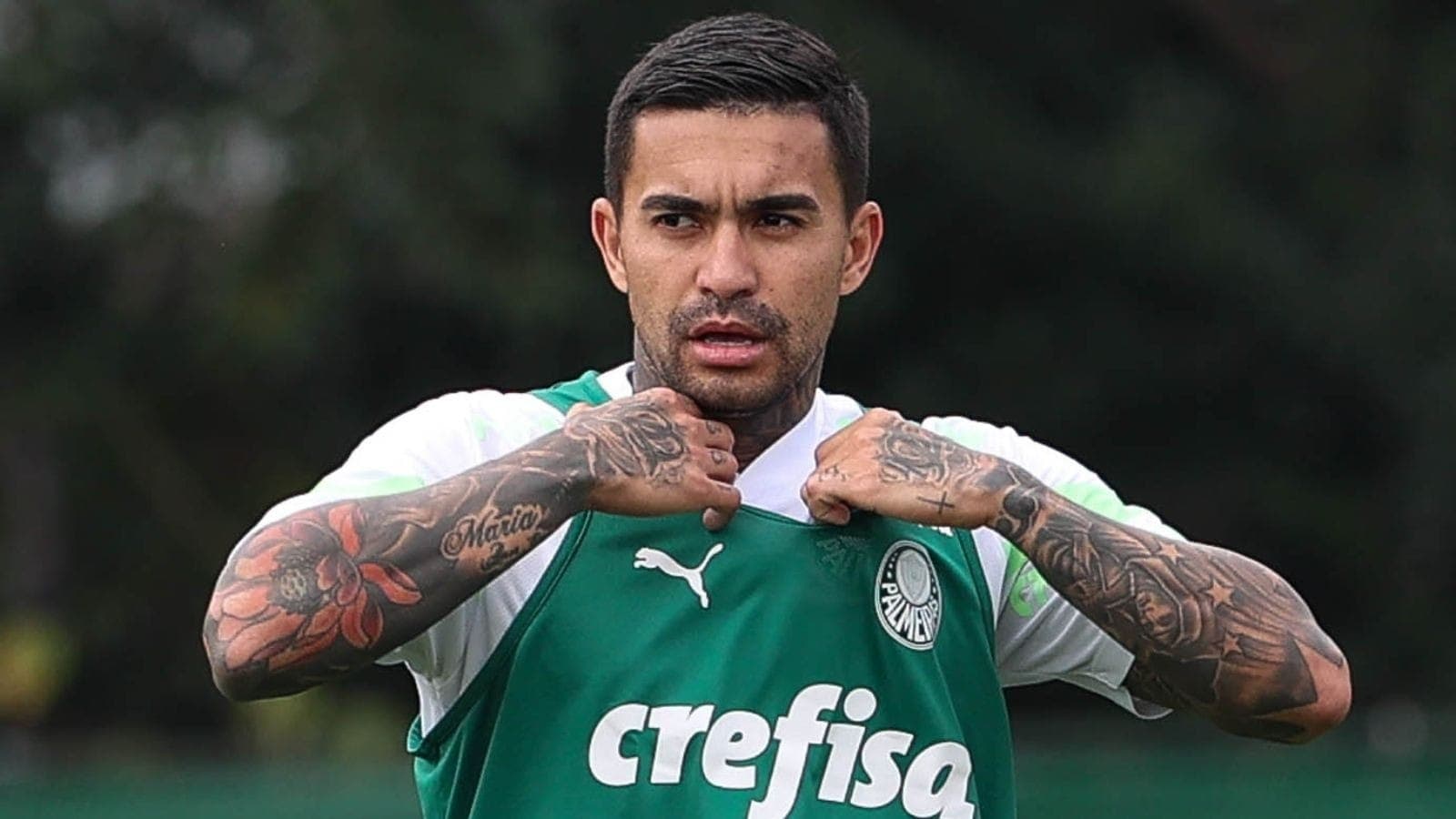 Dudu jogou quatro anos no Allianz Parque, que tem gramado sintético