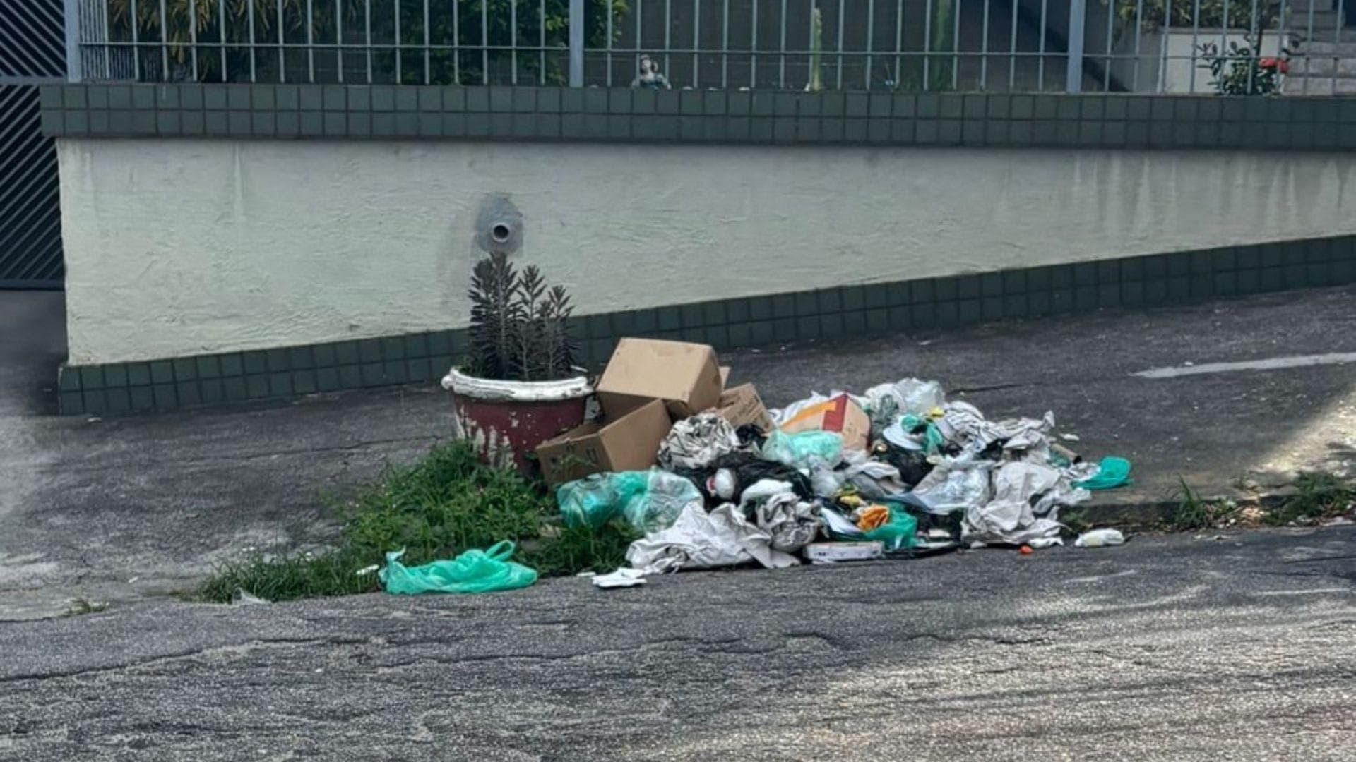 Lixo espalhado em rua