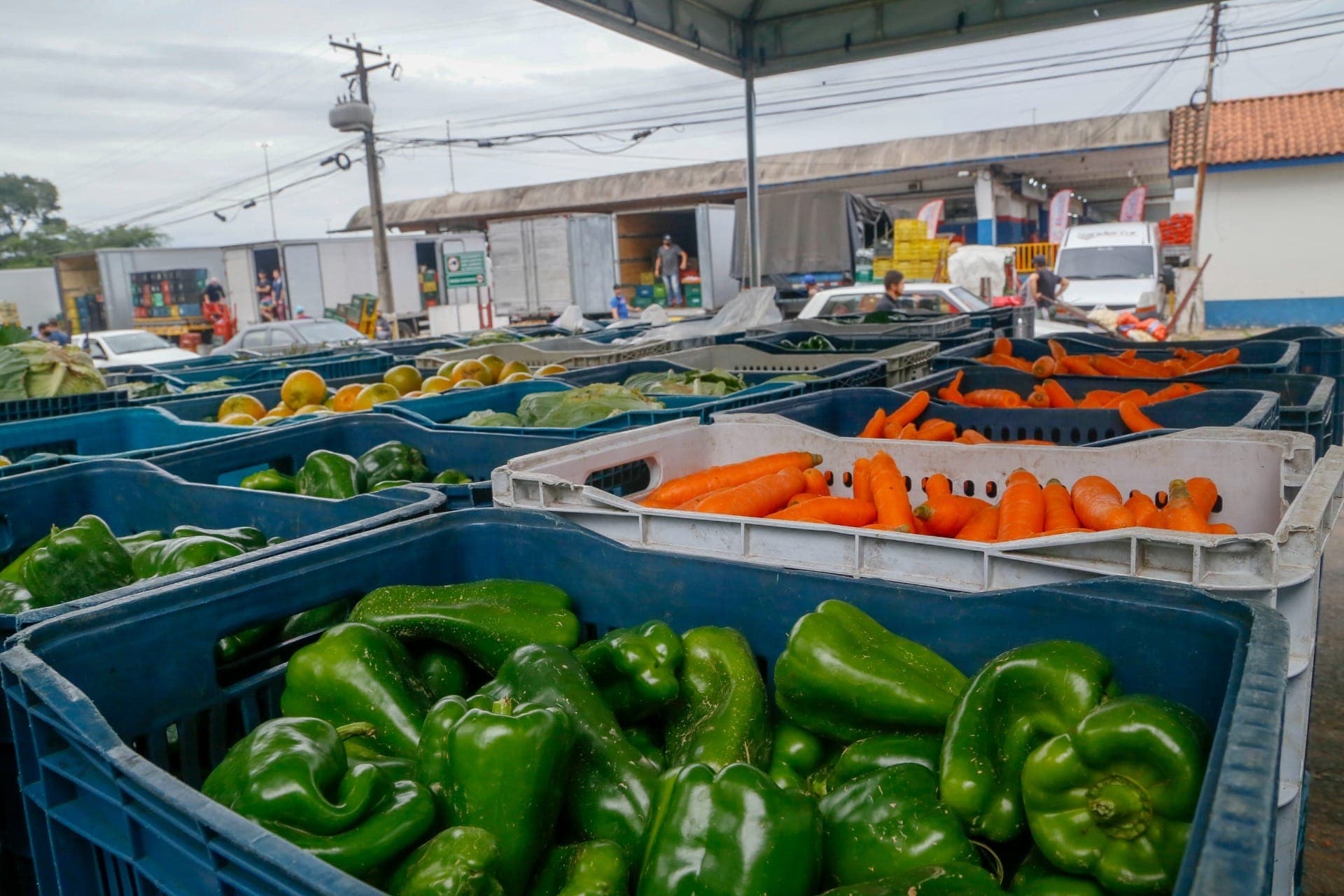 Alimentos