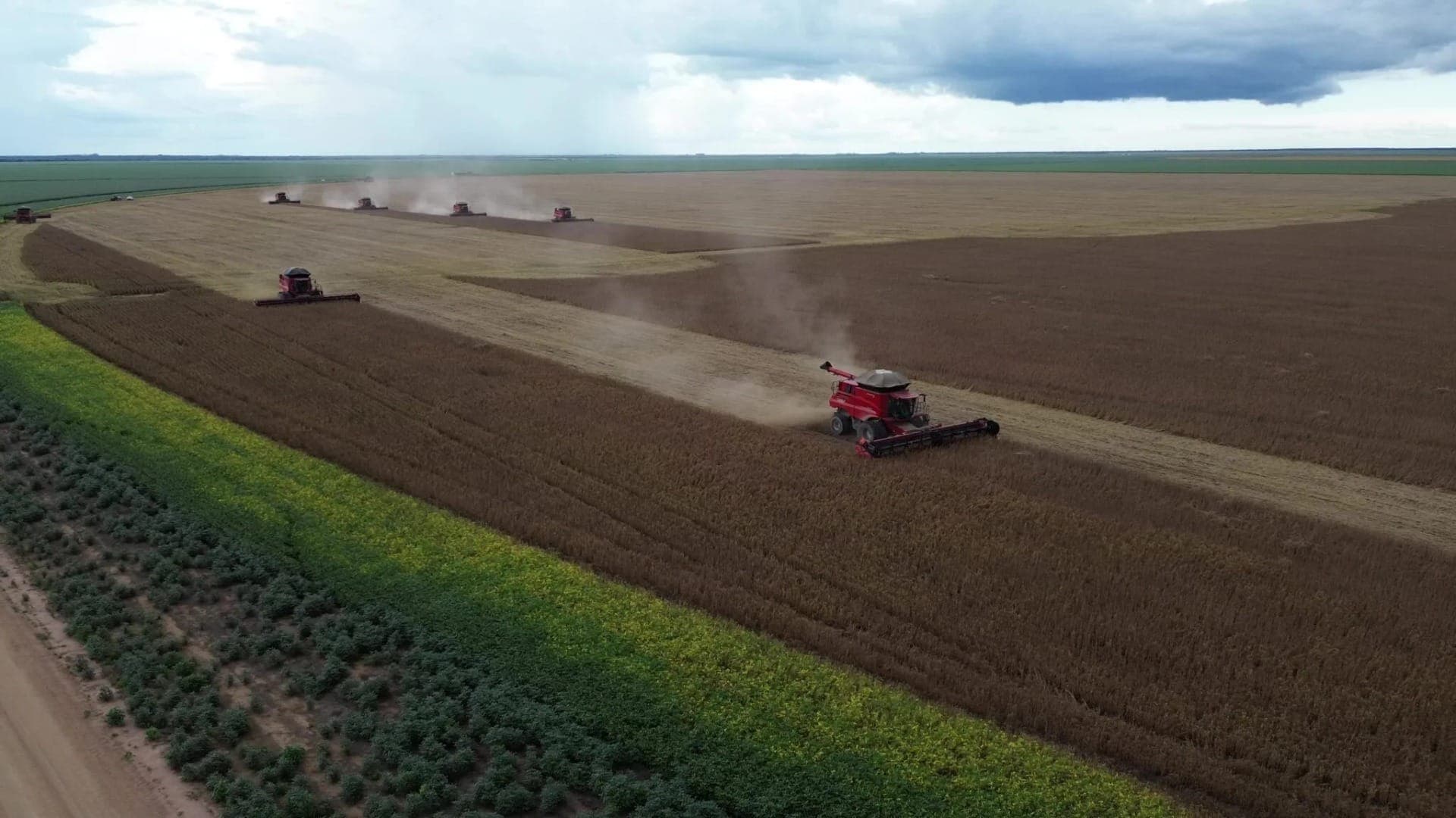 Clima mais seco facilita a colheita, mas ameaça o início do plantio da safrinha de milho e soja