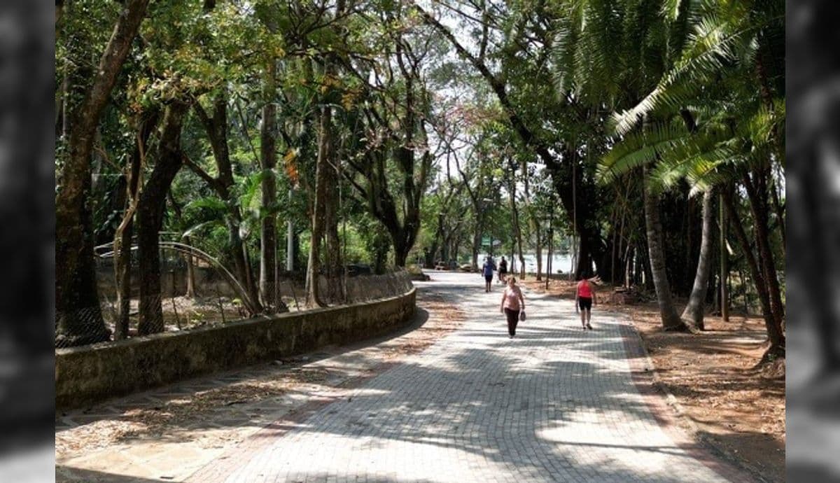 Lagoa do Taquaral