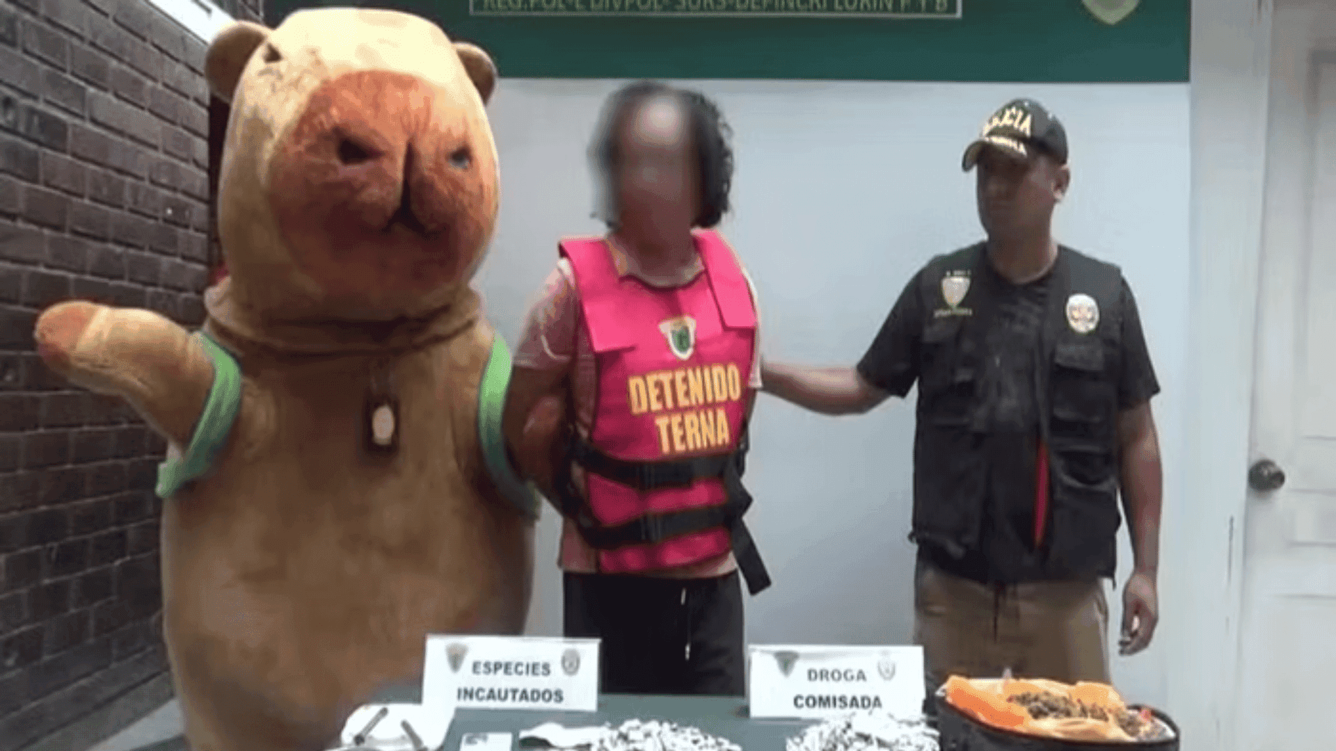 Policial faz prisão vestido de capivara no Peru