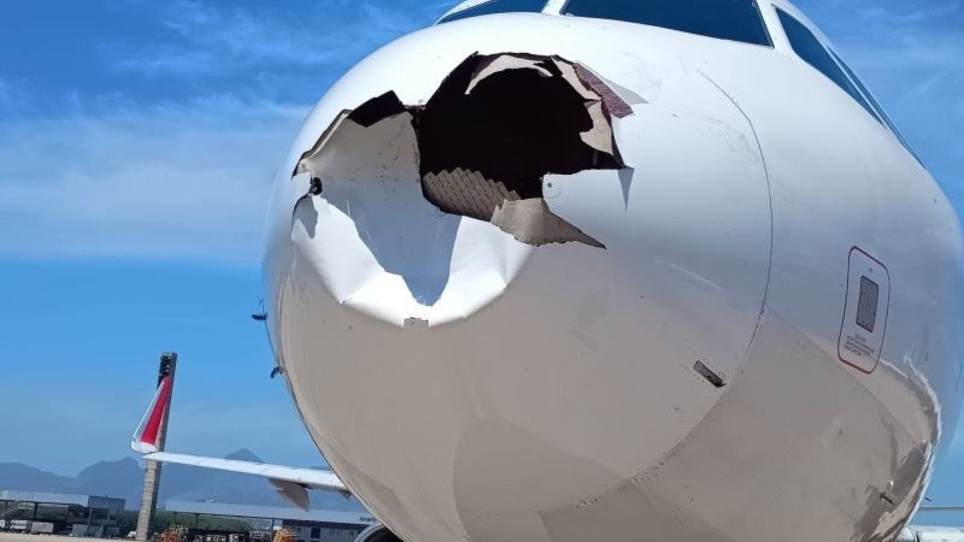 Aeronave colidiu com pássaros