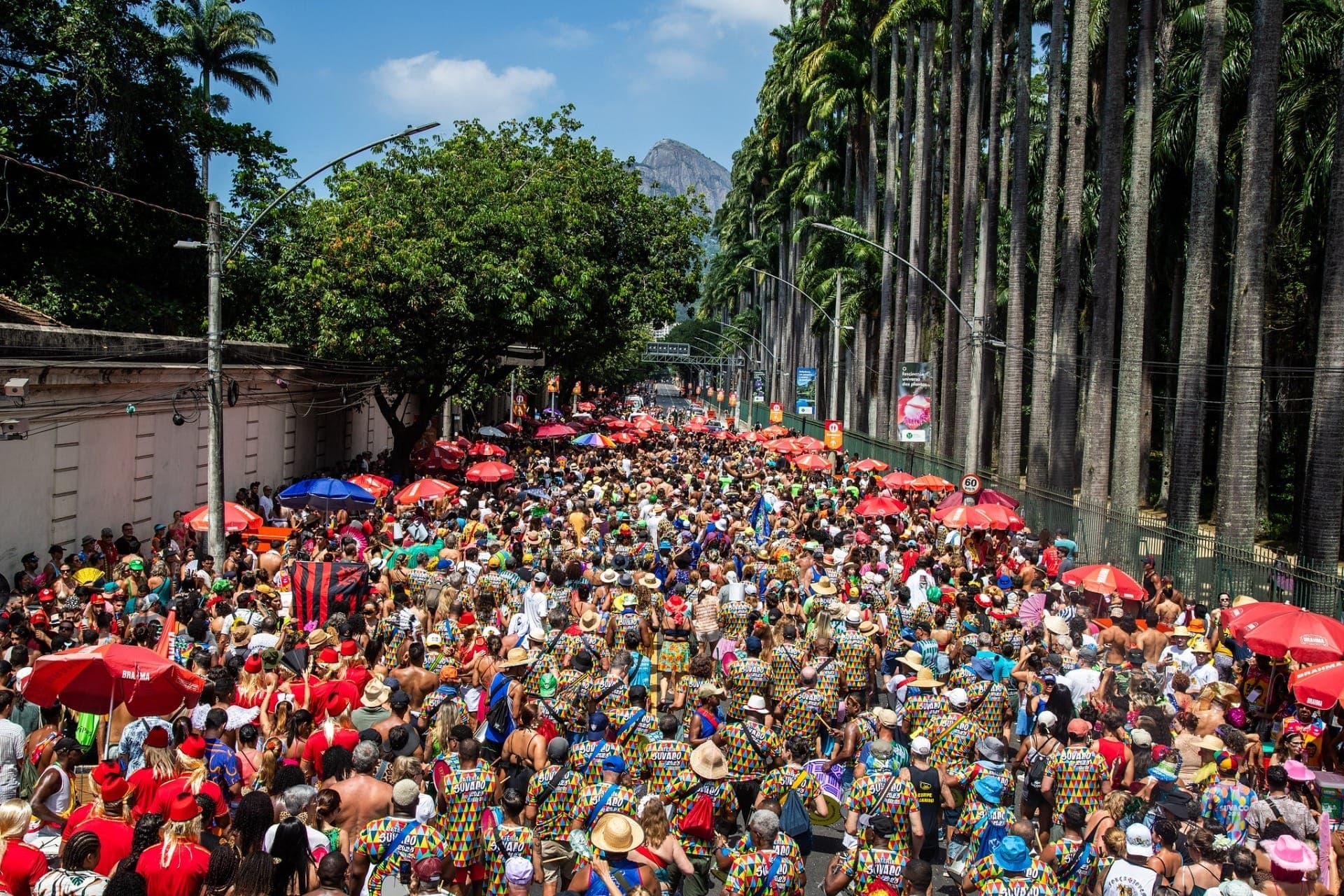 Foliões no Suvaco do Cristo, no Jardim Botânico