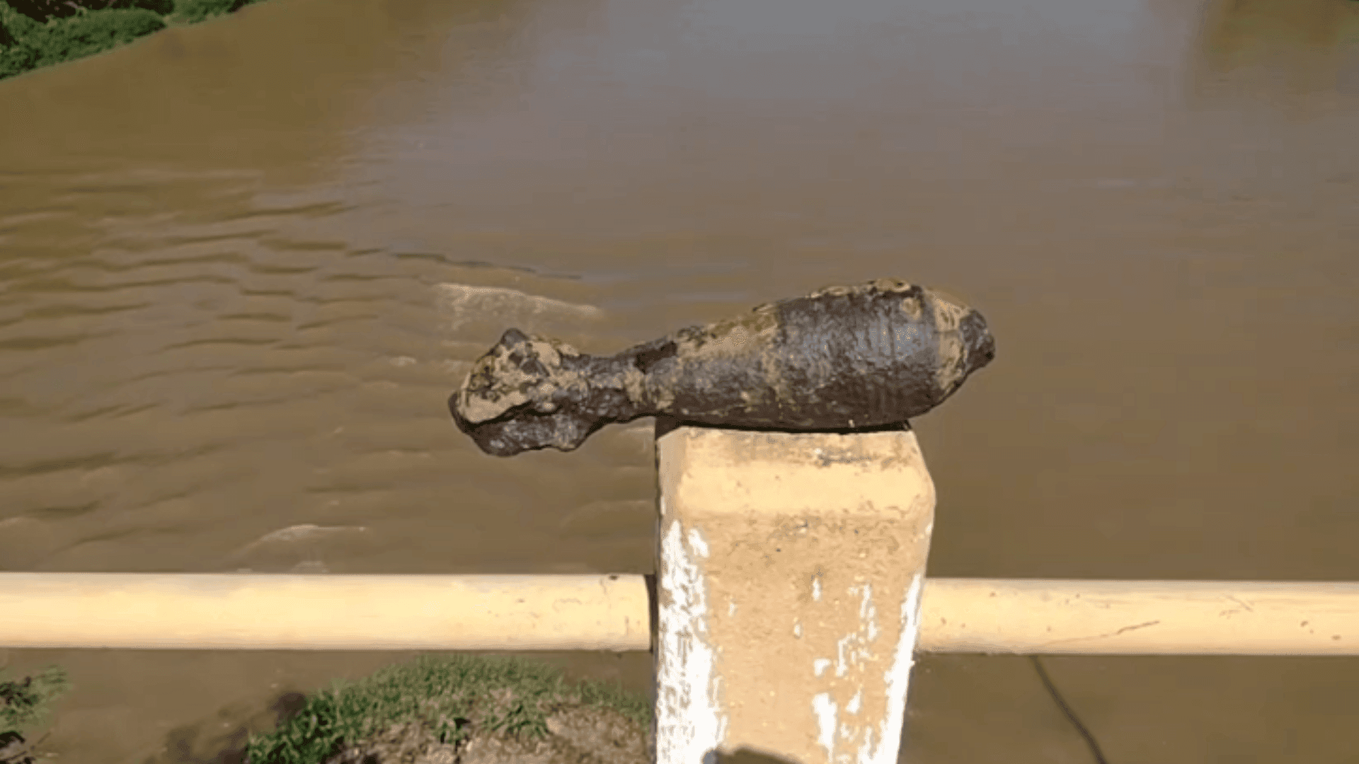 Pescador encontra artefato explosivo no Rio Paraíba do Sul e interdita ponte em Pindamonhangaba