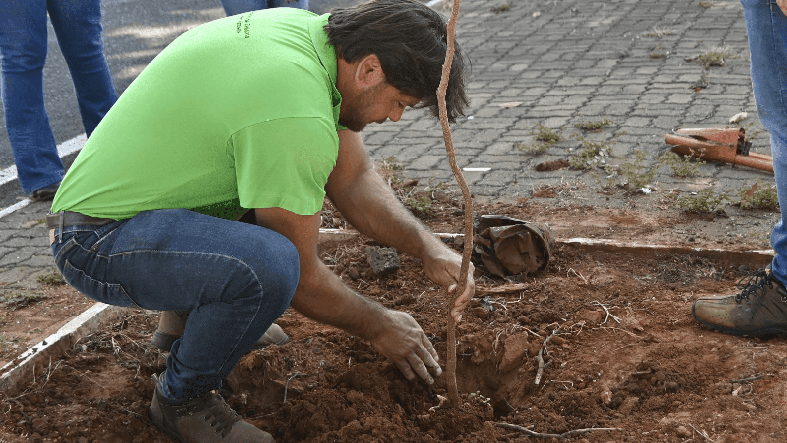 Já foram plantadas 307 novas mudas de árvores