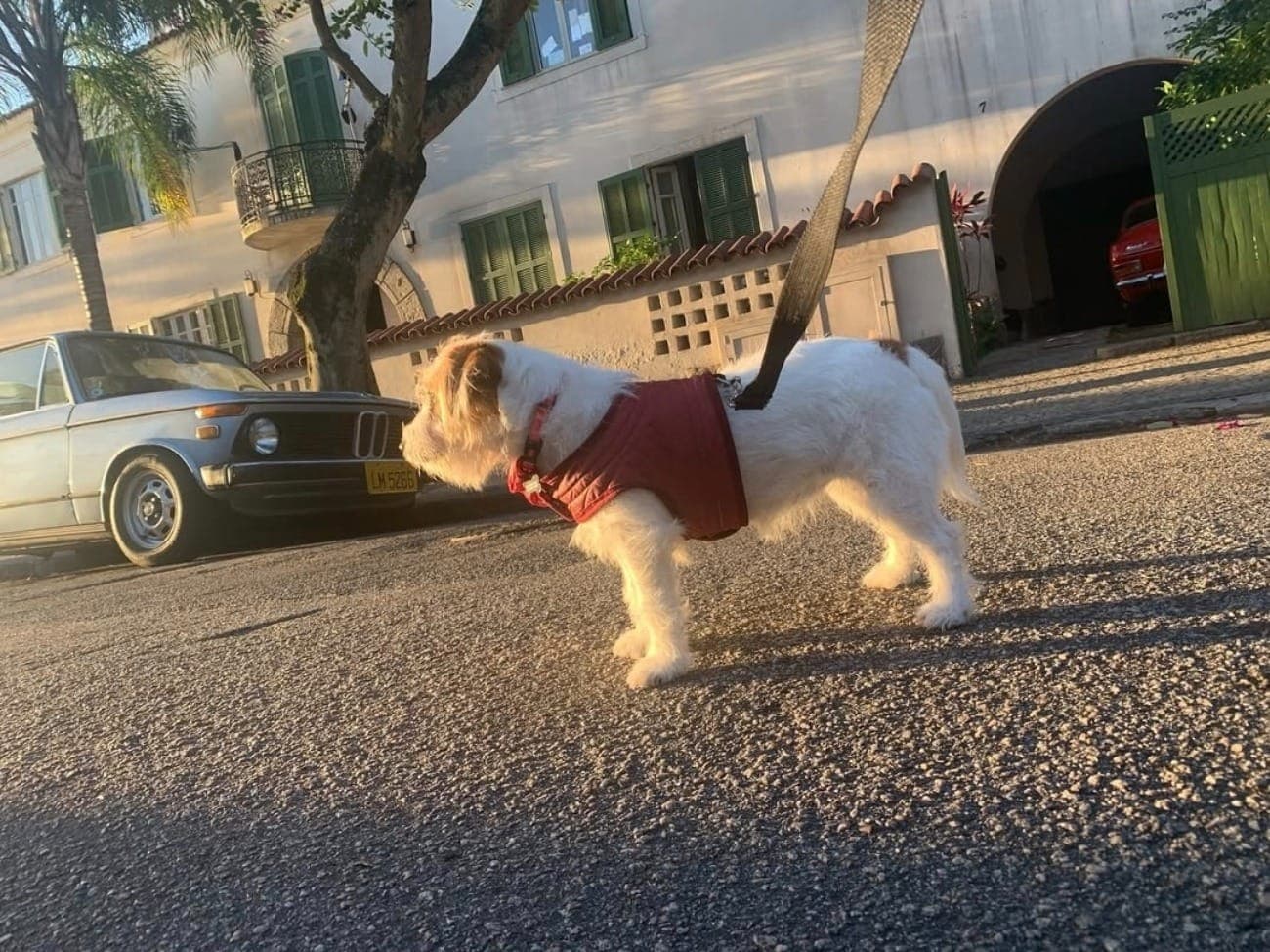 Suri nas filmagens de Ainda Estou Aqui