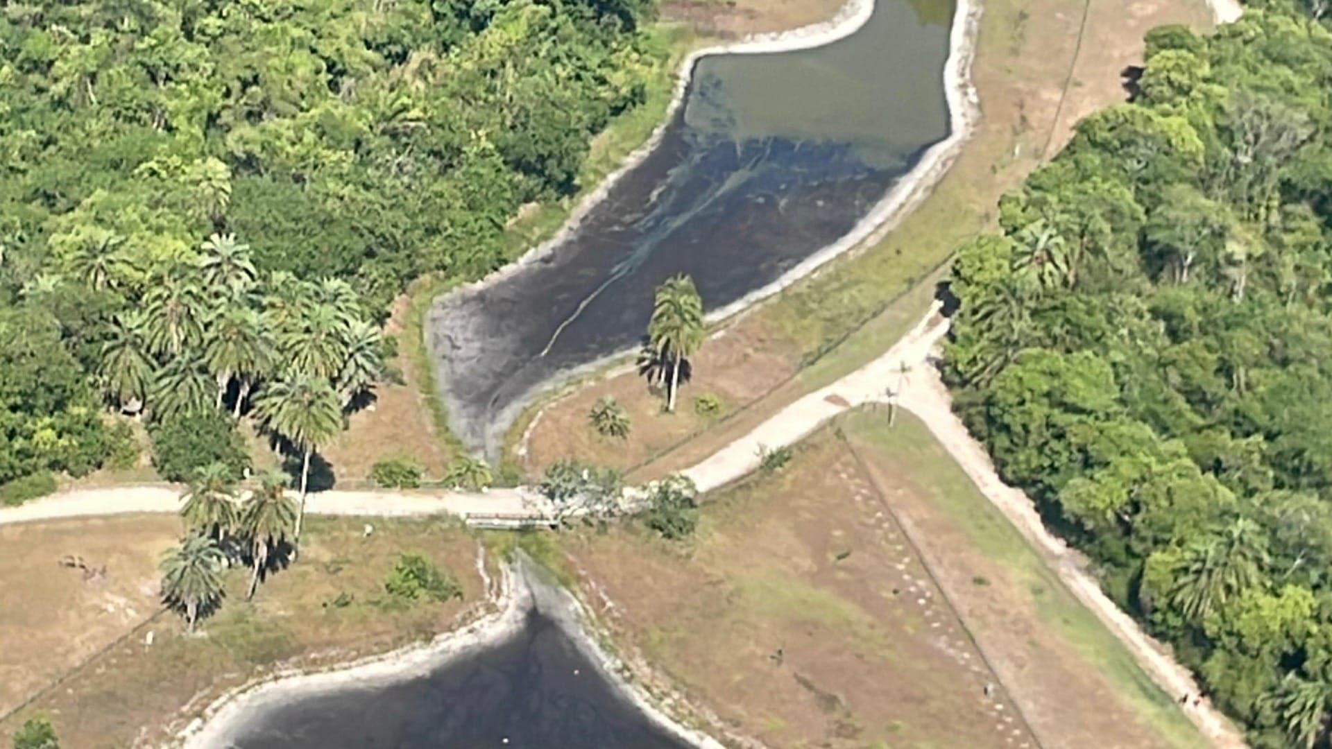 Bosque da Barra seco