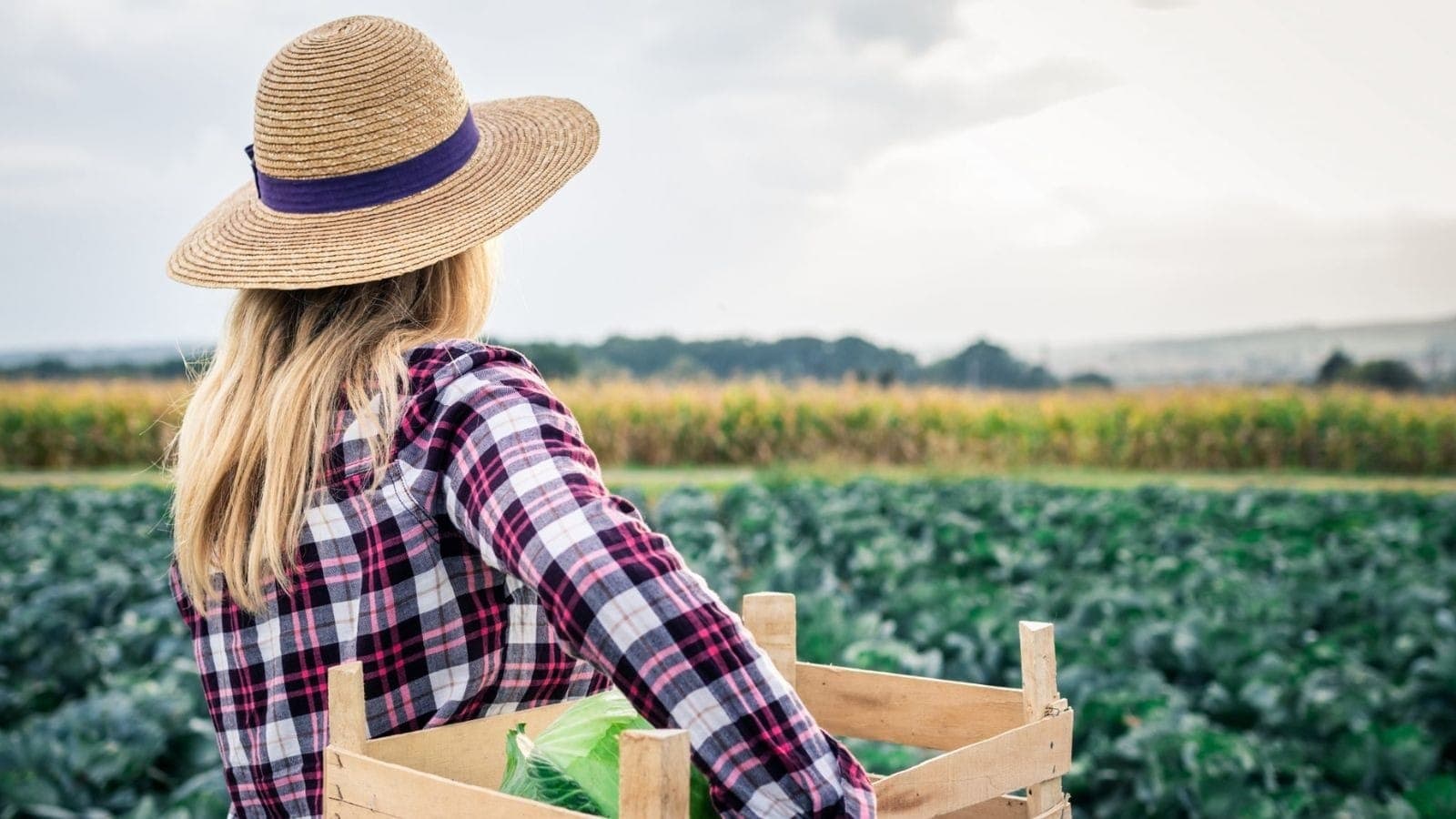 O número de mulheres atuando no agro aumentou