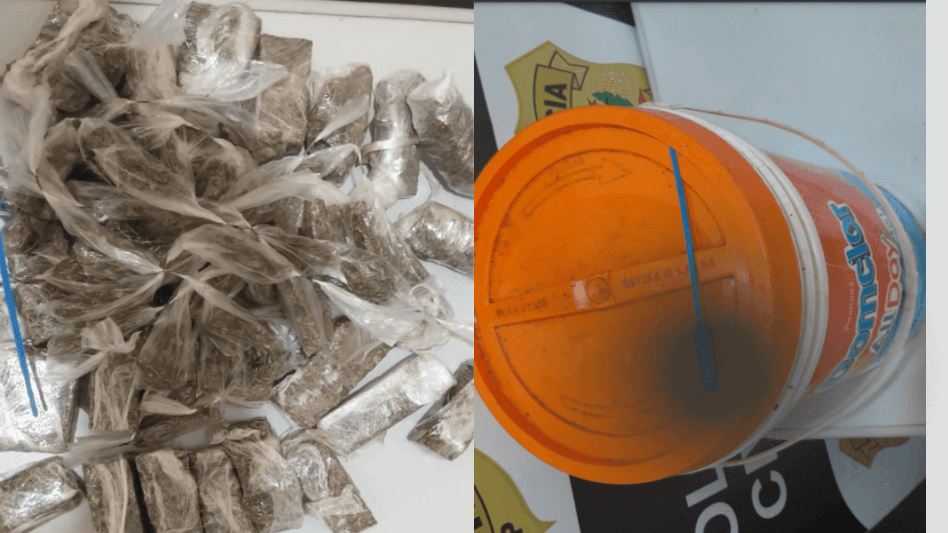 Operação da polícia resulta na apreensão de grande quantidade de drogas em Cachoeira Paulista