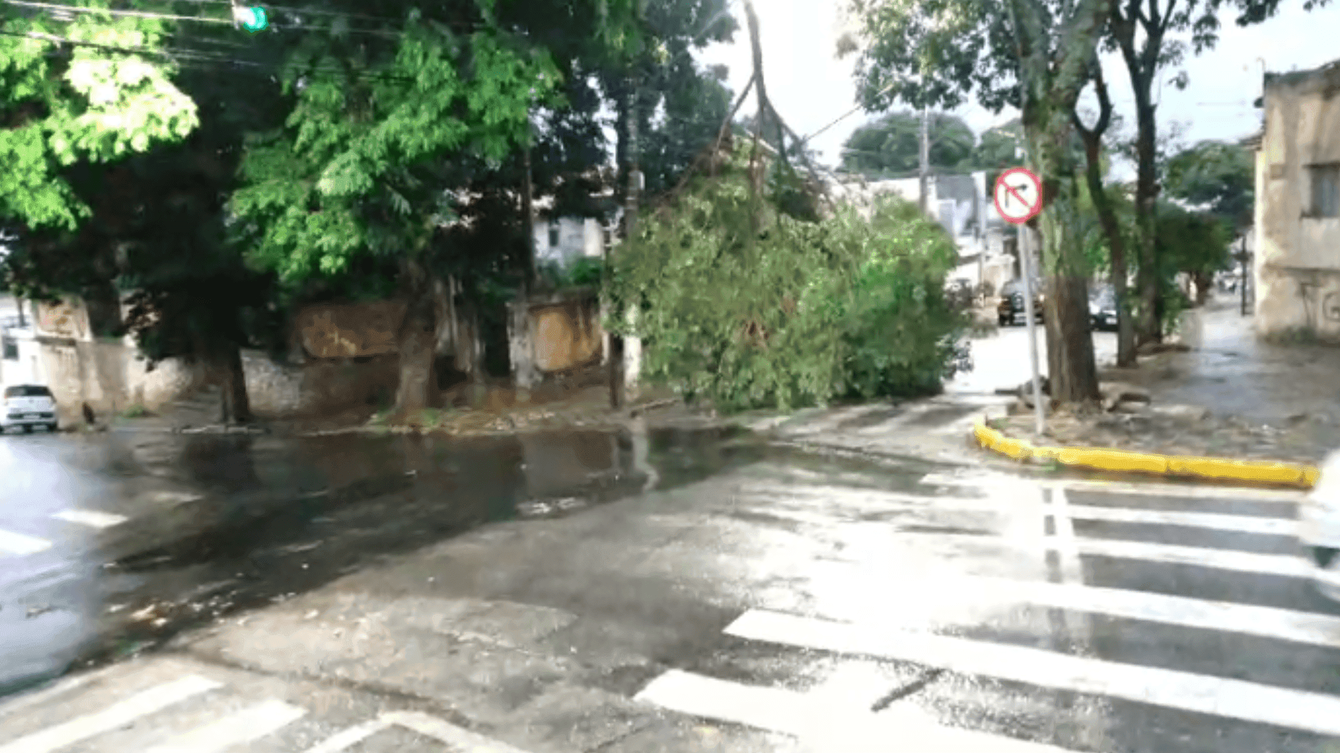Chuva com ventos de 77 km/h causa estrago em Taubaté