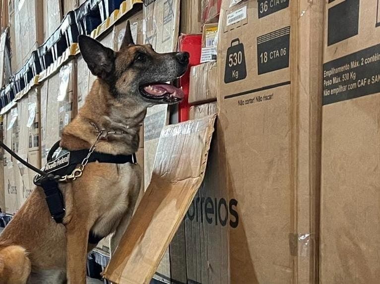 Apreensão de drogas nos Correios