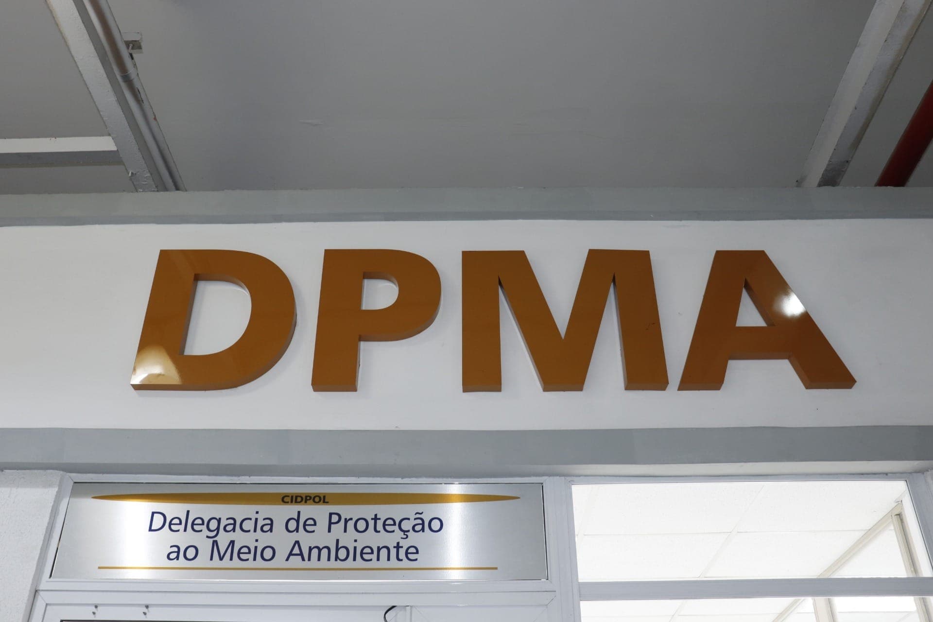 A ação foi realizada pela Delegacia de Proteção ao Meio Ambiente (DPMA).