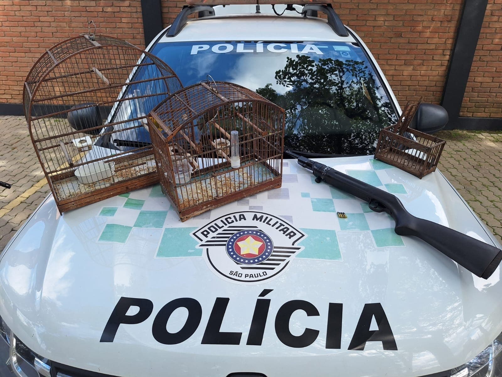 PM Ambiental resgata aves silvestres e apreende arma de fogo em Roseira