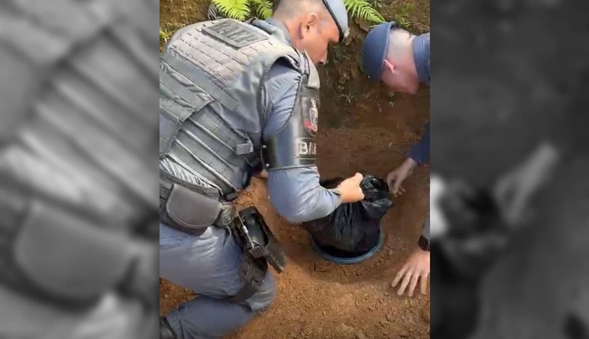 Policiais localizaram entorpecentes
