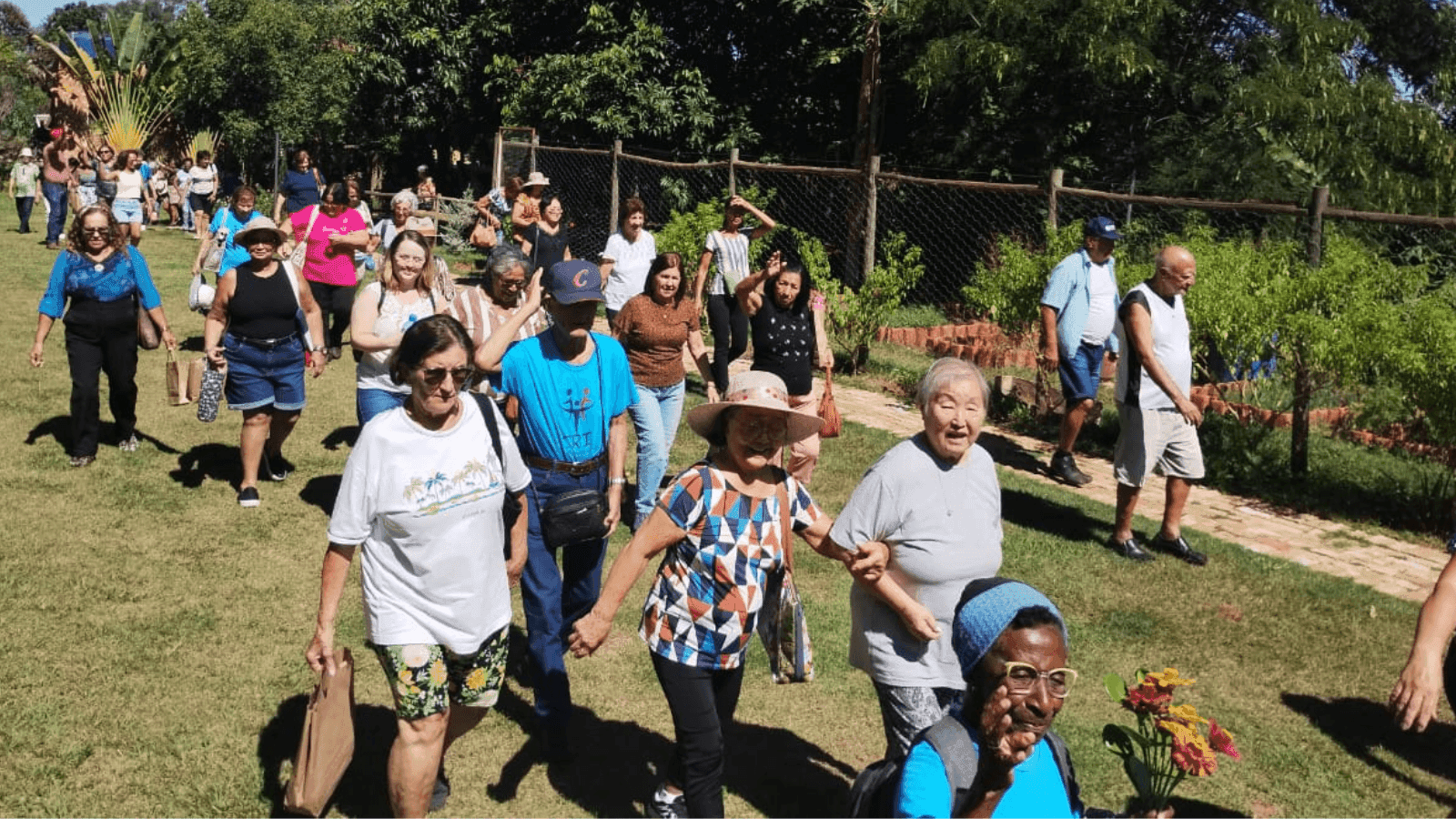 Pelo menos 100 idosos participaram no evento 