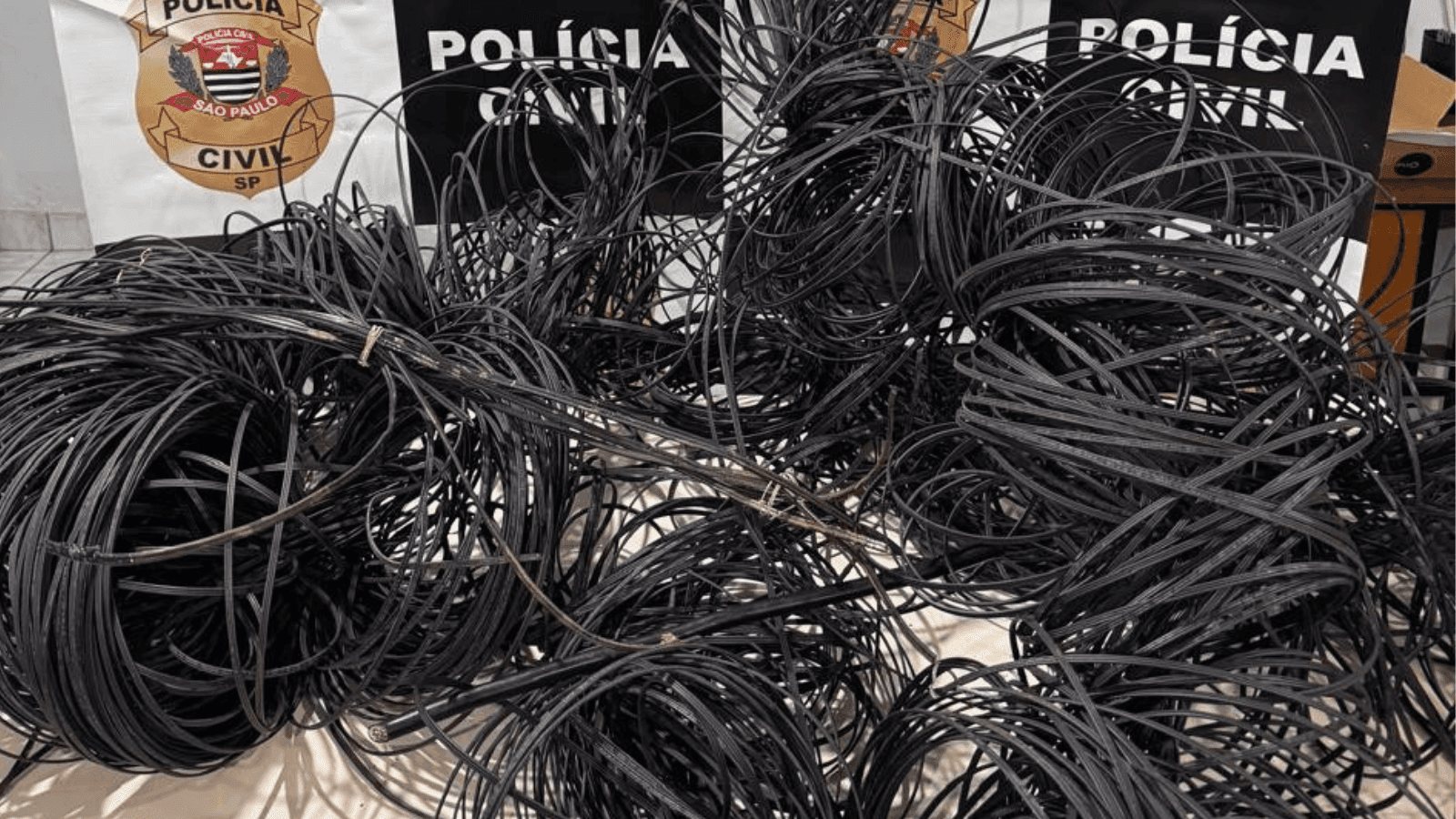 O material foi apreendido na loja do suspeito 
