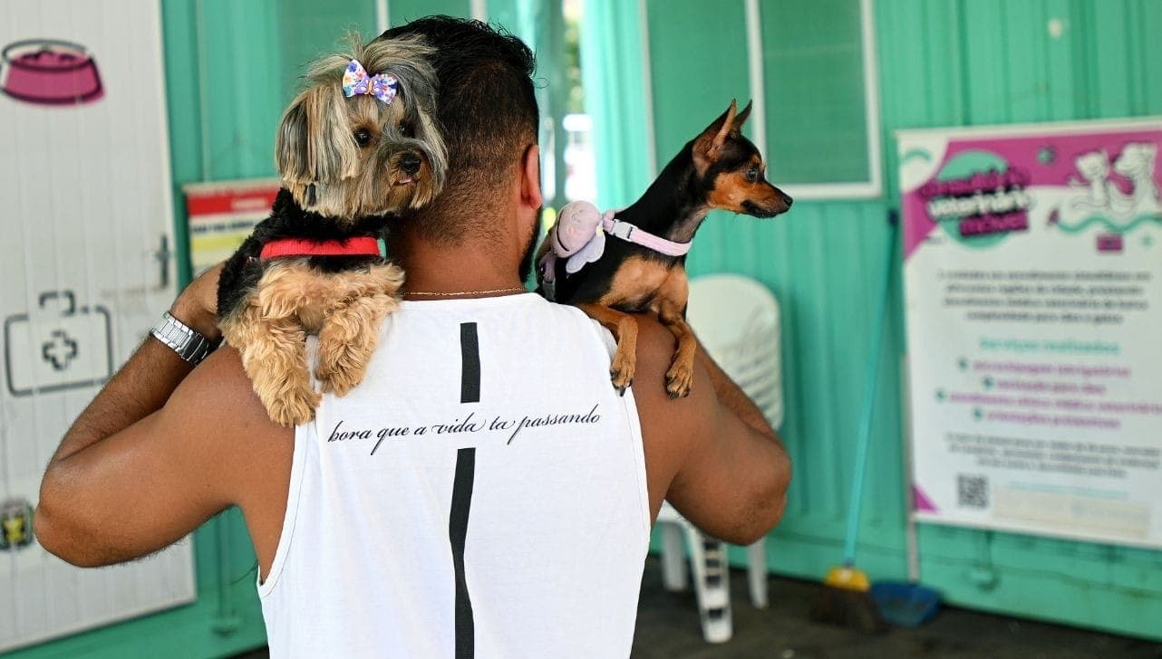 Consultório Veterinário Móvel tem duas unidades
