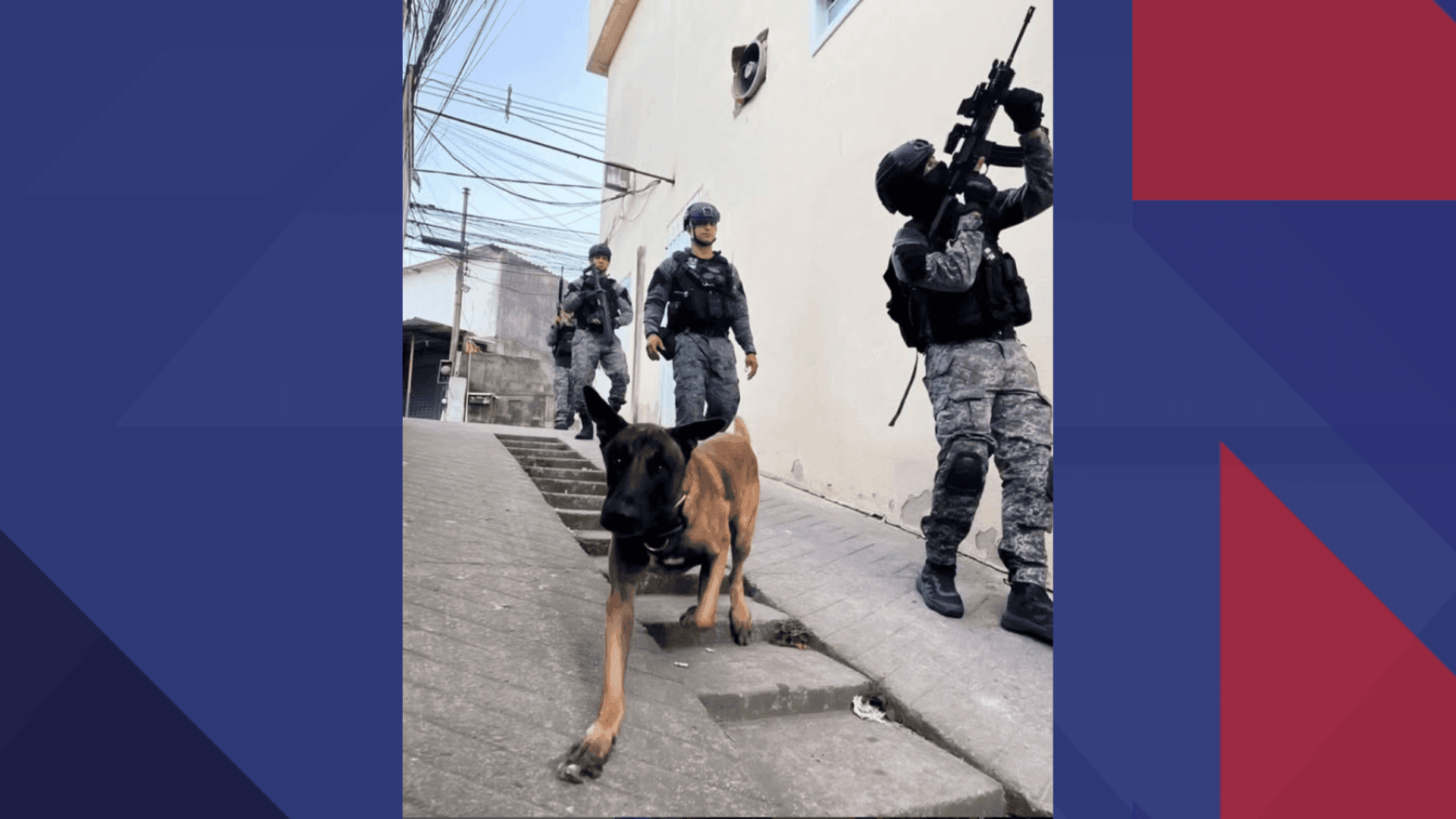 Batalhão de Ações com Cães 