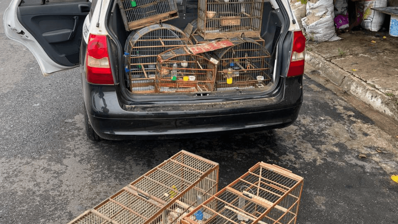 A apreensão aconteceu em uma casa de Botucatu