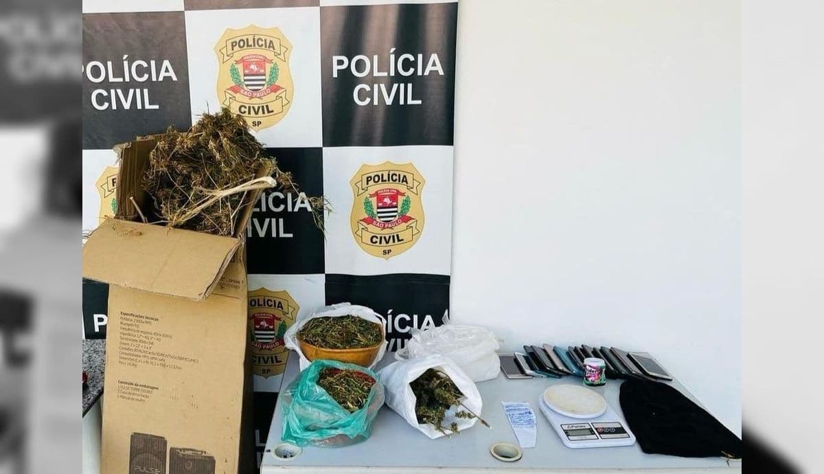 Entorpecentes foram encaminhados à perícia